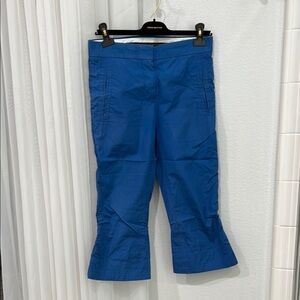 Louis Vuitton Blue Cropped Pants